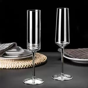 Champagneglazen Plastic | Champagne Glas | Champagneglas