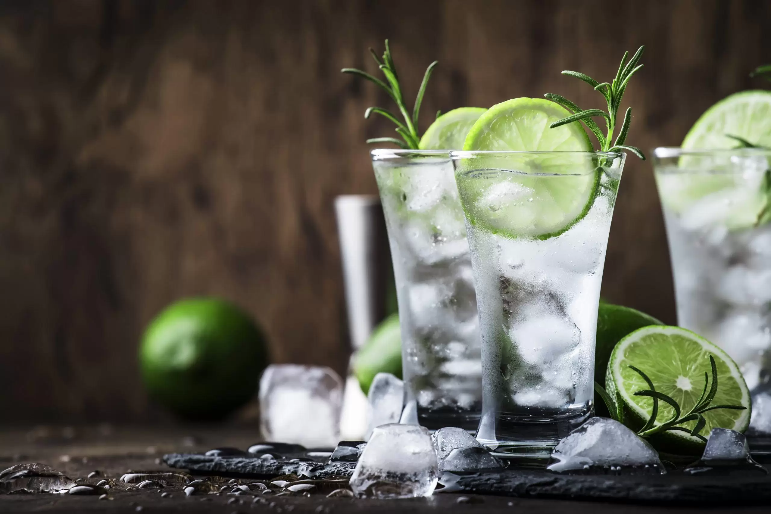 classic-gin-tonic-cocktail-with-lime-ice-and-rosem-ANJ6WZH-min