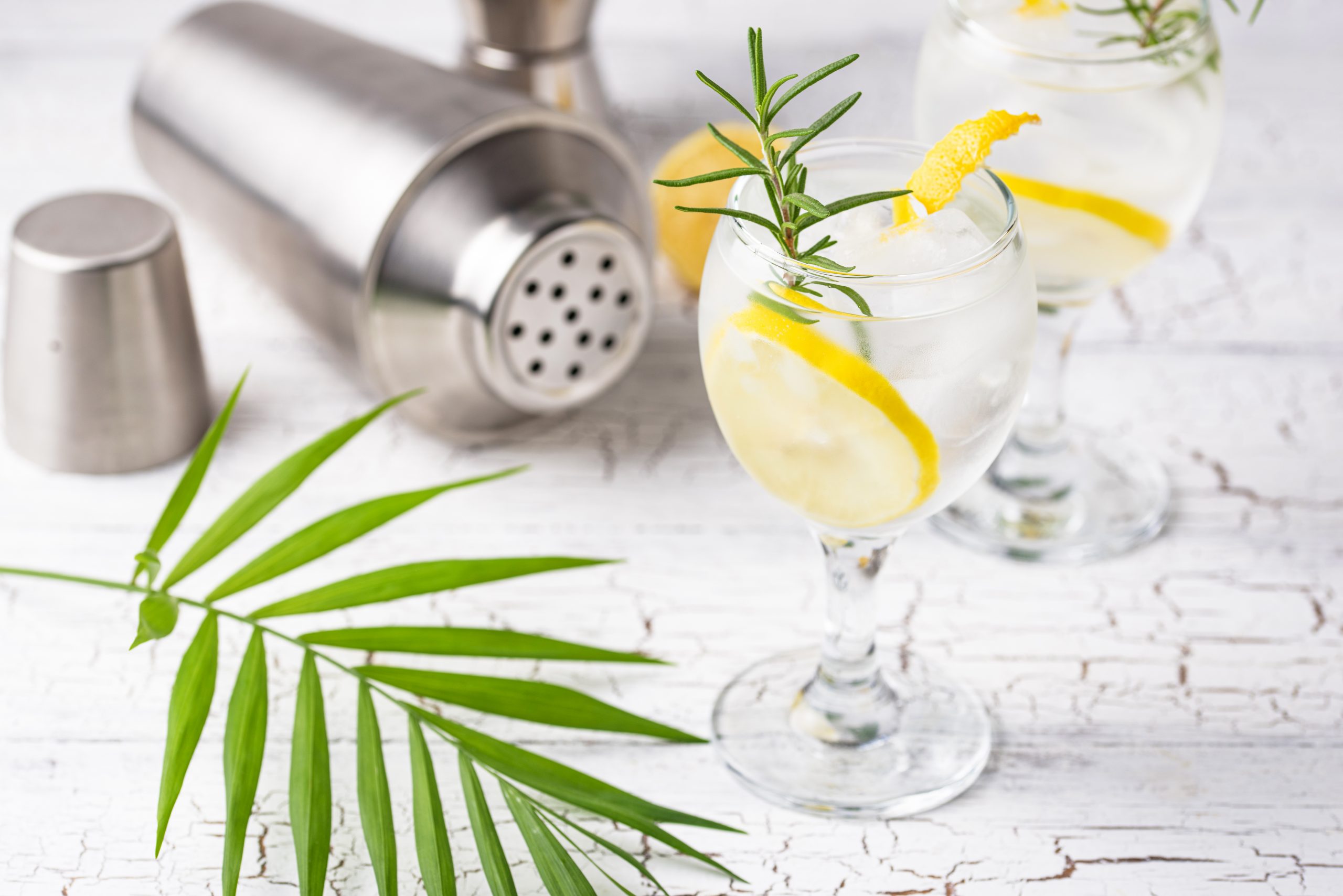 gin-tonic-cocktail-with-lemon-4C759RU